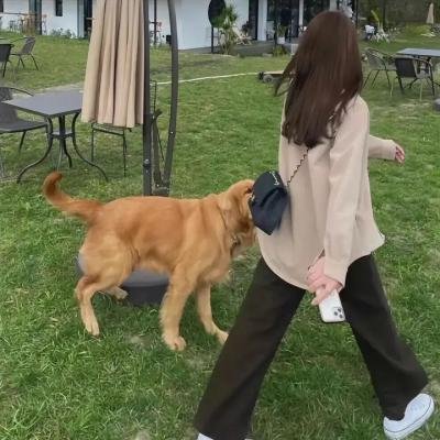 人生几度秋凉