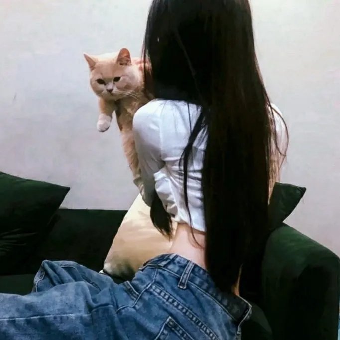 战狼